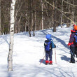 Load image into Gallery viewer, 11 Day - Hokkaido Ski & Culture Trip