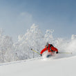 Load image into Gallery viewer, 11 Day - Hokkaido Luxury Ski & Culture Trip