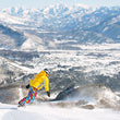 Load image into Gallery viewer, 13 Day - Epic Pass® Trip