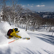 Load image into Gallery viewer, 12 Day - Tohoku Grand Tour