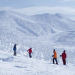 Load image into Gallery viewer, 14 Day - Guided Powder Chaser Trip