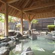 Load image into Gallery viewer, 23 Day - Grand Japan Trip