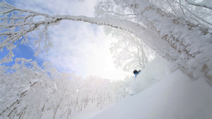 14 Day - Guided Powder Chaser Trip