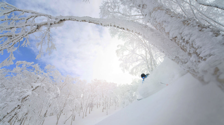 14 Day - Guided Powder Chaser Trip