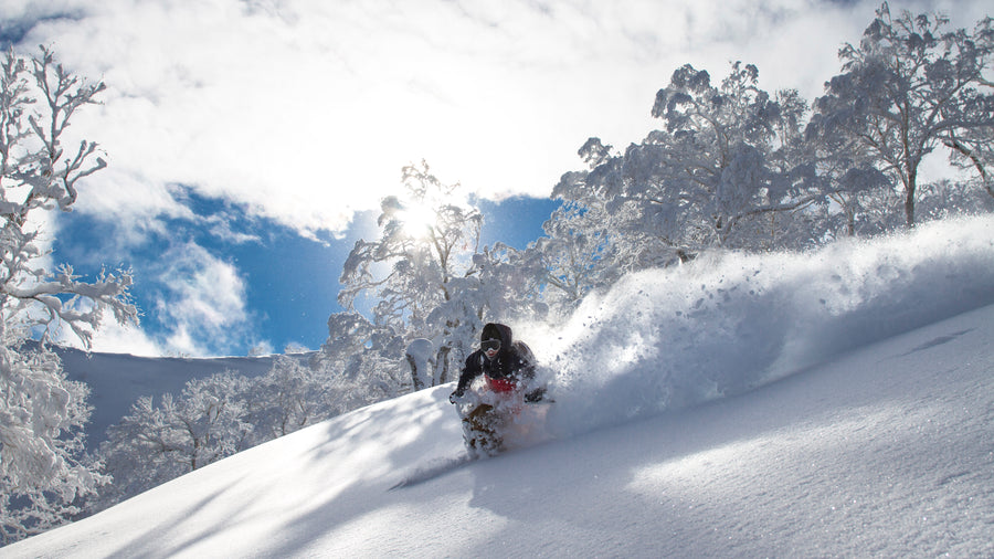 14 Day - Guided Powder Chaser Trip